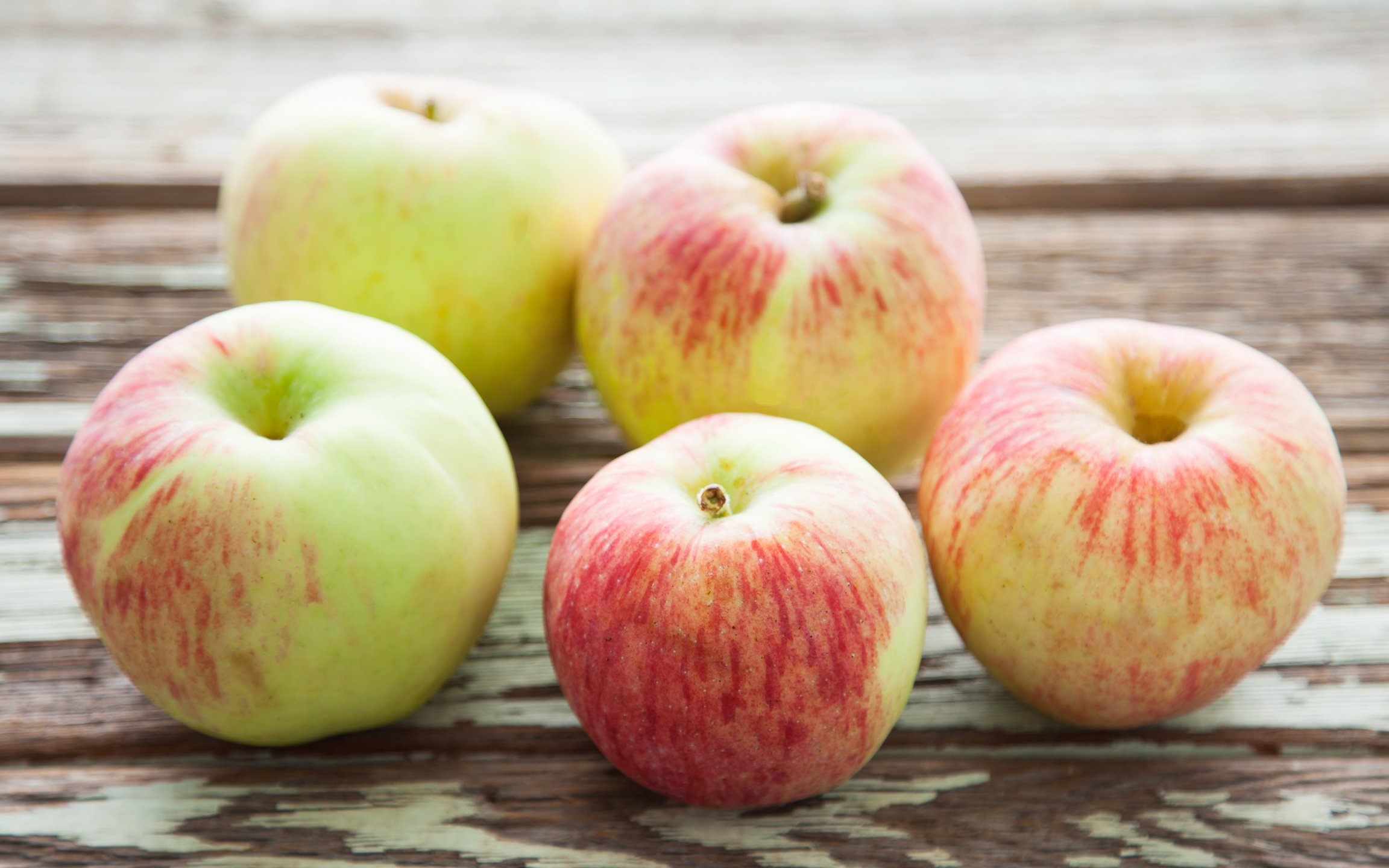 Organic Small Fuji Apples Hikari Farms SF Bay Good Eggs